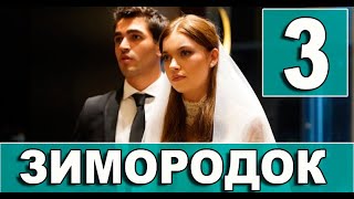 Зимородок 3 серия на русском языке. Новый турецкий сериал