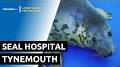 Video for Tynemouth Seal Hospital