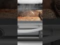Ninja Combi 14-in-1 Multi-Cooker Air Fryer Oven (12.5L) #amazonfinds #airfryer #cooker