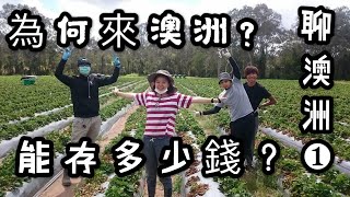 聊澳洲 1# 為何來澳洲？能存到多少錢？