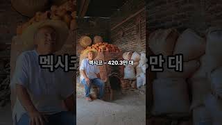 2024년 세계 자동차 기업 순위 #automobile #올바른정보 #이슈