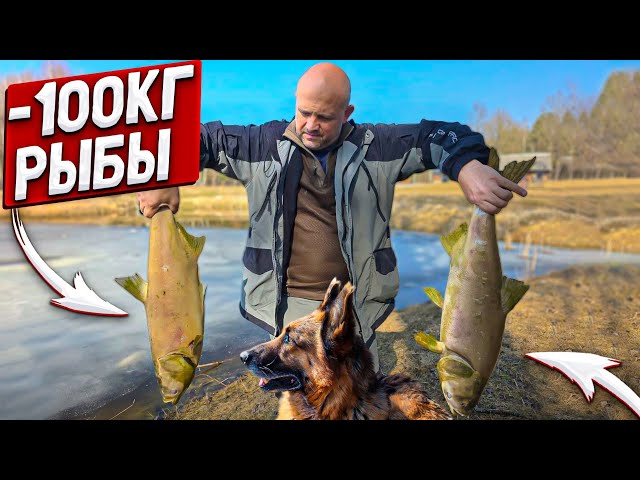 Счастье вернуться домой и встреча питомцев. Самый крупный, но печальный улов. Огородный сезон открыт