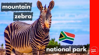 Travel Review Mountain Zebra National Park, Eastern Cape South Africa Self Drivenational Parks