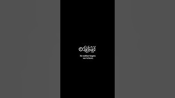 سورة الإخلاص /القارئ شريف مصطفى