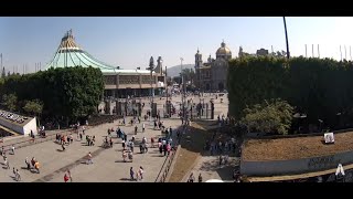 Basilica | La gente comienza a llegar a misa Envivo