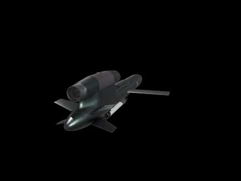 FP 5 Flamingo cruise missile