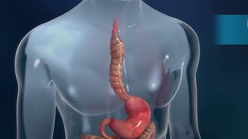 Biostage Cellframe Technology for Organ Regeneration Animation