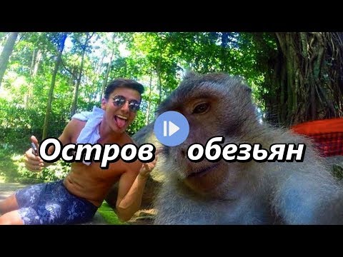 Остров обезьян