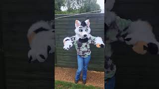 Recently completed commission of Charlie Arctic Fox! #furry #ukfurs #fursona #furryfandom