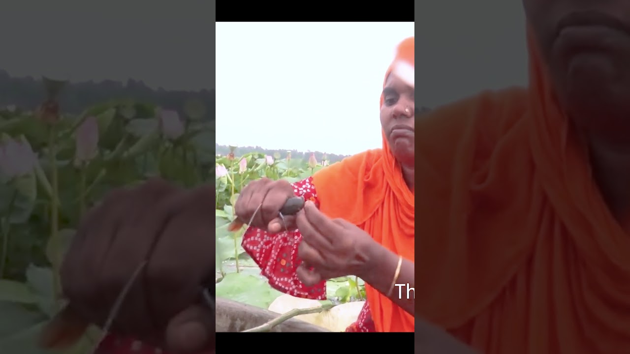 Wow Fish Fish  Fishing with hook by village lady 