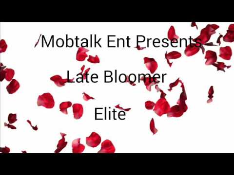 ELITEBREED    LATE BLOOMER MIXTAPE