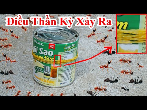 Video Chỉ Cần Quấn Dây Thun Vào Lon Sữa Đặc BẠN Sẽ Thấy Điều... - youtube