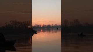 Осінній Судак на Десні! Шалена Рибалка 🎣#Рибалка #Судак #Десна #ОсінняРибалка #Риболовля