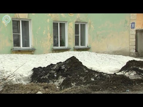 Жители улицы Шишкина