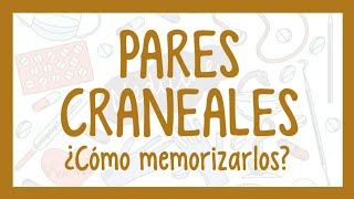 cómo MEMORIZAR los PARES CRANEALES