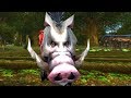 Leveling 1 120 Killing Only Boars