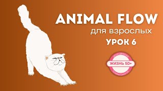 Animal Flow. Положение бист и краб Подводящие упражнения