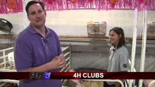 4H Clubs