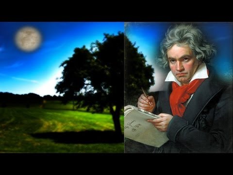Mondscheinsonate (Ludwig van Beethoven) Moonlight ...