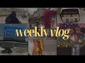 Weekly vlog  1er voyage en belgique pour les filles 30 is the new 20 on craque  cause des filles