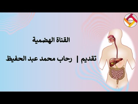 فيديو: أين تقع القناة الهضمية؟