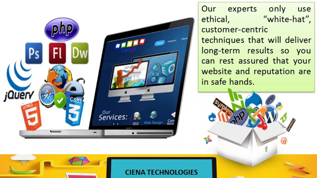 Ciena Technologies: Web Development, Online Reputation Management Services @Noida