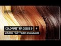 Colorimetría desde 0 - 4: Altura de tono y fondos de aclaración