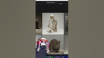 The best way to Prototype as a GameDev! #gamedev #indiedev