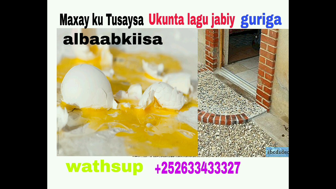 Maxay ku Tusaysa Ukunta lagu jabiyay guriga albaabkiisa