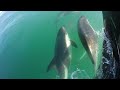 Velero Alma Mía de Puerto Santa Elena a Bahía Arredondo Ep 10