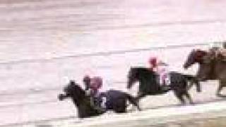 2007 Breeders' Cup Juvenile