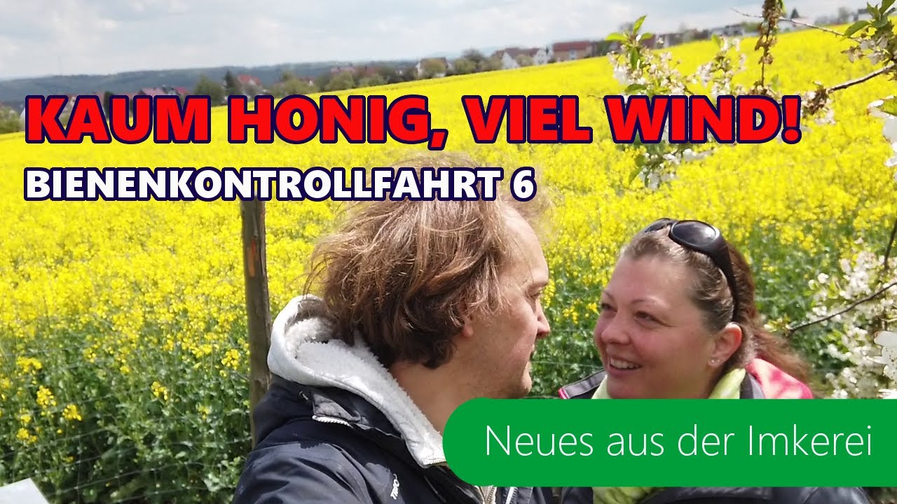 BKF #6-2021 Regen, Wind, Kälte | kleine Katastrophe | Honigmangel | Neues aus der Imkerei