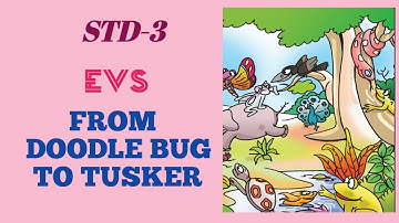 3rd standard  EVS UNIT 2/FROM  DOODLEBUG TO TUSKER/class with activities