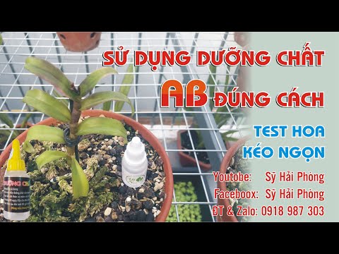 Sử dụng Dưỡng chất ab đúng cách.