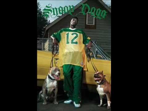 Snoop dogg check yo self  (2010)