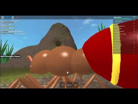 Roblox Ant Simulator How To Get Fruit Free Robux Promo Codes 2019 Android Windows - ant simulator roblox queen code auxgg