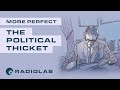 The Political Thicket | Radiolab Presents: More Perfect Podcast | Season 1 Episode 2