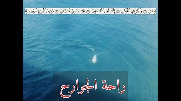 فضل قراءة سورة يس