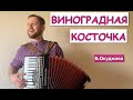 Виноградная Косточка - самая душевная песня!!  Виноградную косточку сыграл на аккордеоне | Окуджава