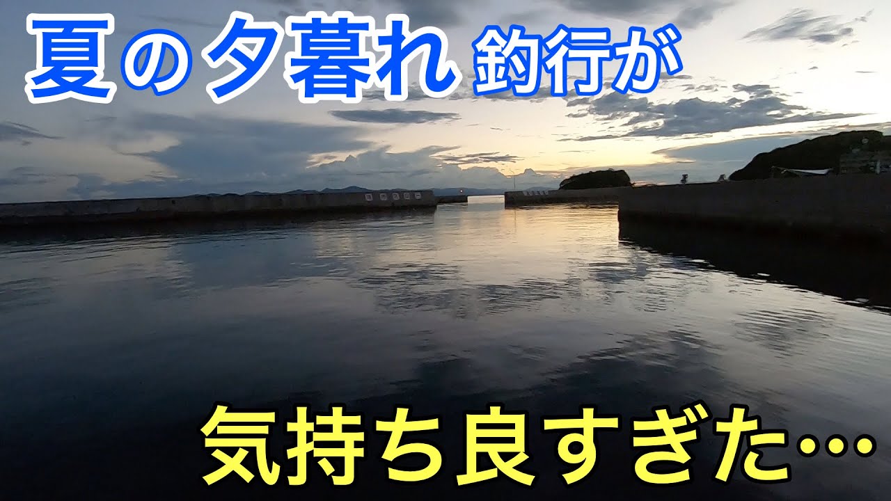 ライトゲームで釣れて釣れてやめられない Youtube