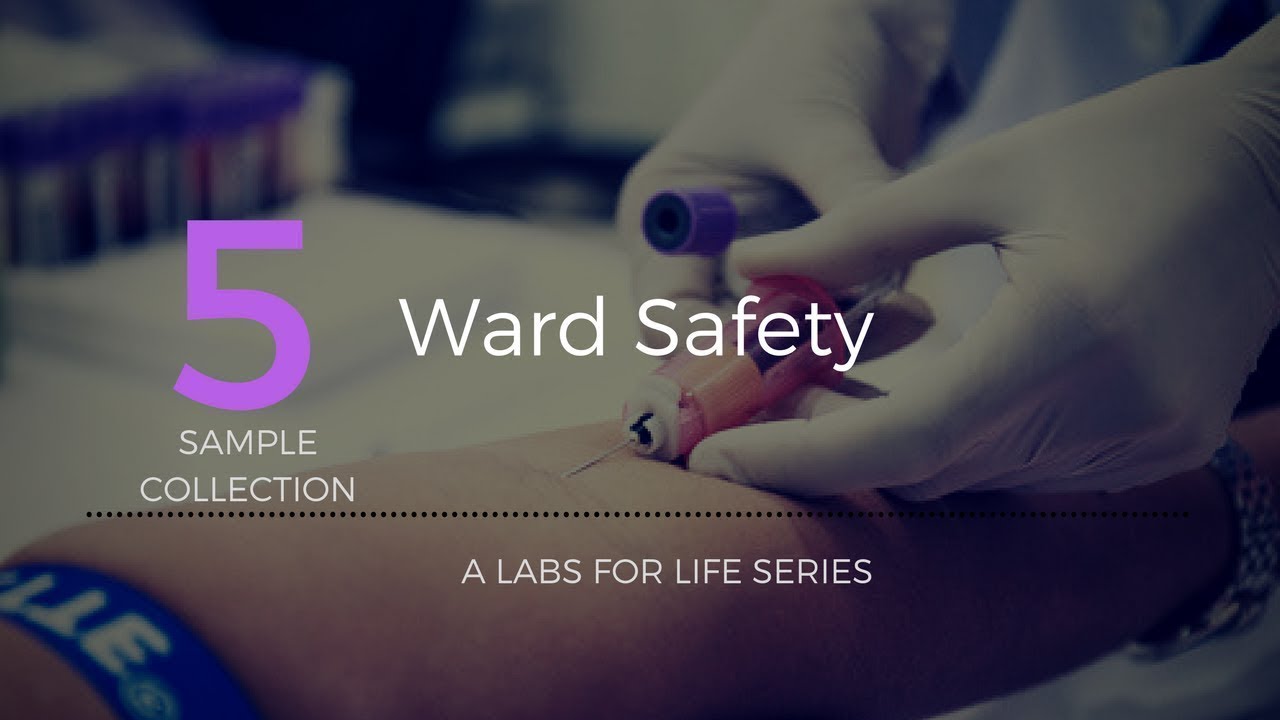 WARD SAFETY YouTube
