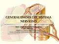 Generalidades de Sistema Nervioso