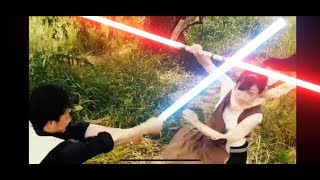 REIWA WARS（完成版）