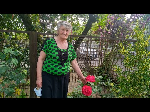 ვიდეო: მშვენიერი ბაღი