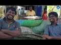 சுவைகளின் அடிப்படையில் முதல் பத்து கடல் மீன்கள் | Top 10 tastiest fishes available in fish market