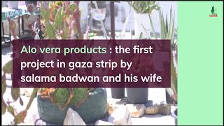 Alo vera products : the first project in gaza strip by salams badwan and his wife