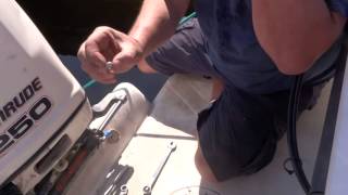 SeaStar Repair