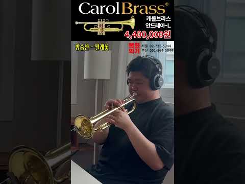 찔레꽃 트럼펫 연주 캐롤브라스 안드레아L 440만원