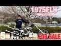 【 ハーレー女子 】 愛車紹介!まさかの乗り換え?FOR SALEやっております