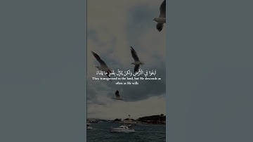 ولو بسط الله الرزق لعباده - القارئ مختار الحاج